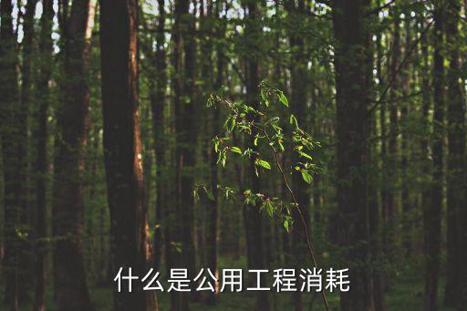 什么是公用工程消耗
