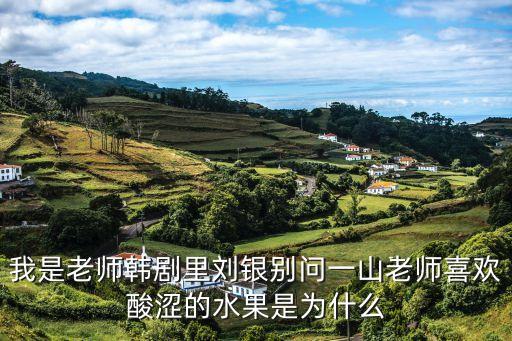 劉銀，我是老師里劉銀別誰扮演的喔