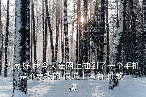 大家好 我今天在網上抽到了一個手機 是不要錢的 快遞上寫著 付款  搜
