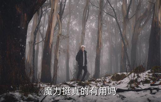 魔力挺，魔力挺是一個(gè)內(nèi)衣品牌嗎