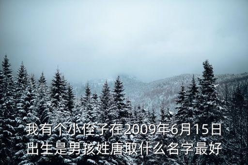 唐巍，唐巍是八字嗎