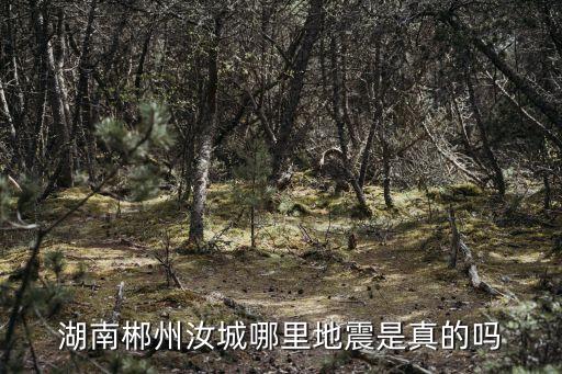 湖南郴州汝城哪里地震是真的嗎