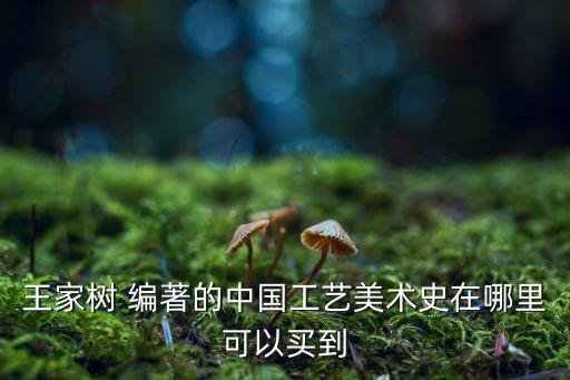 王家樹 編著的中國工藝美術(shù)史在哪里可以買到