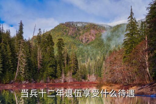 當兵12年，新兵留隊十二年會怎樣