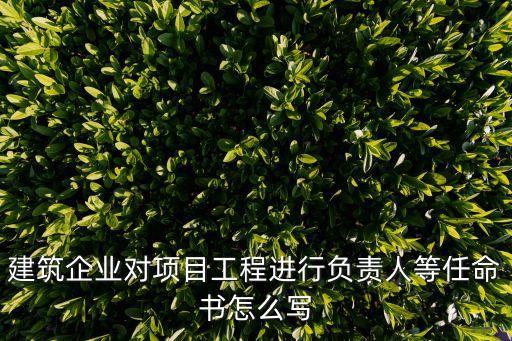 建筑企業(yè)對項目工程進(jìn)行負(fù)責(zé)人等任命書怎么寫