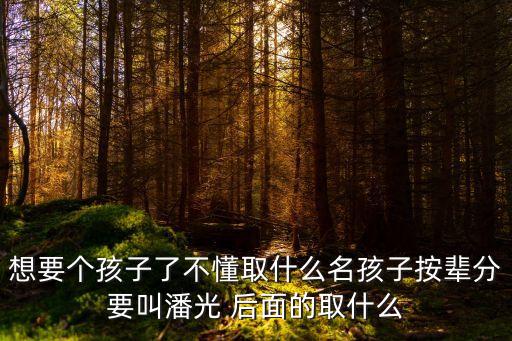 想要個(gè)孩子了不懂取什么名孩子按輩分要叫潘光 后面的取什么