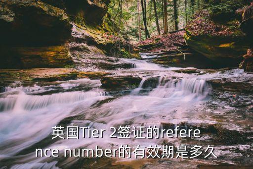 英國Tier 2簽證的reference number的有效期是多久
