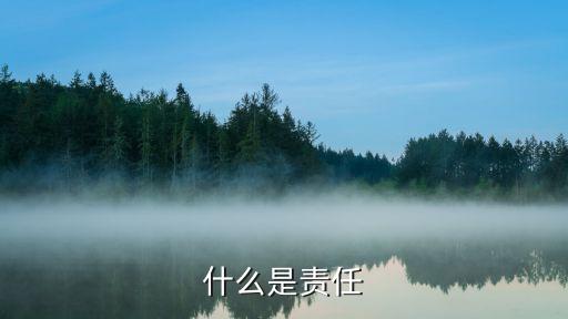 責任是什么意思，什么是責任