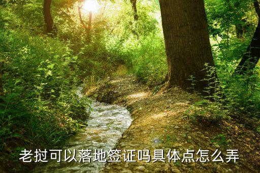 老撾可以落地簽證嗎具體點(diǎn)怎么弄
