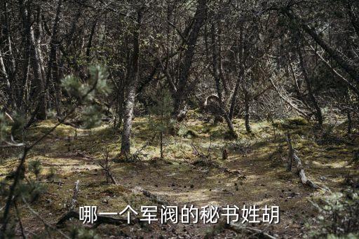 錢大軍，黃埔八大金剛都是誰