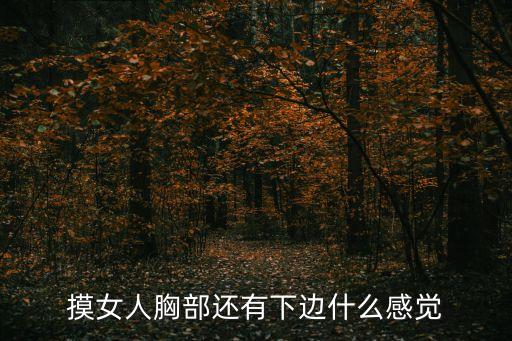 摸女人胸部還有下邊什么感覺