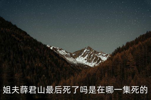 姐夫薛君山最后死了嗎是在哪一集死的