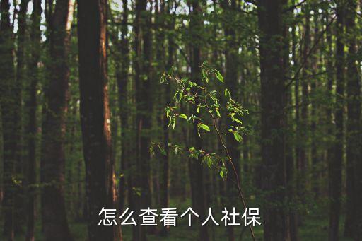 怎么查看個人社保