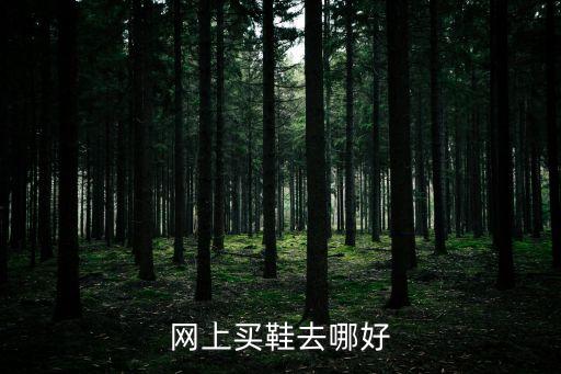 網(wǎng)上買鞋去哪好