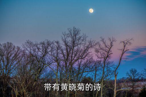 帶有黃曉菊的詩