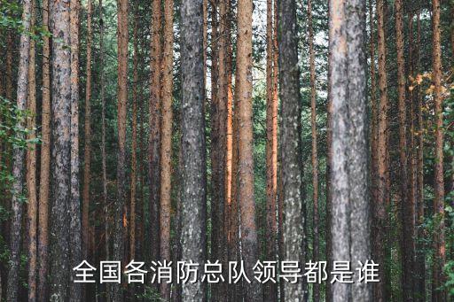 消防隊(duì)長(zhǎng)，呼蘭區(qū)消防隊(duì)長(zhǎng)什么級(jí)別