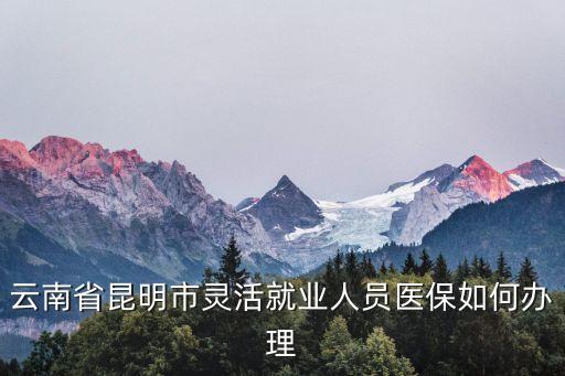 靈活就業(yè)人員醫(yī)保，云南省昆明市靈活就業(yè)人員醫(yī)保如何辦理