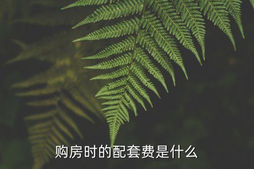 配套費(fèi)，買房要交配套費(fèi)是什么