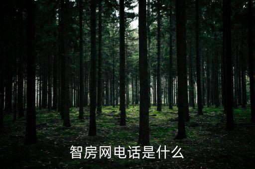 智房網(wǎng)電話是什么