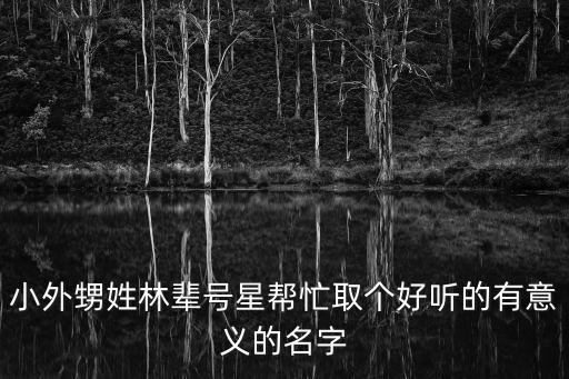 小外甥姓林輩號(hào)星幫忙取個(gè)好聽(tīng)的有意義的名字