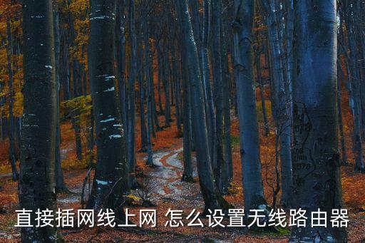 插入網(wǎng)，直接插網(wǎng)線上網(wǎng) 怎么設(shè)置無線路由器