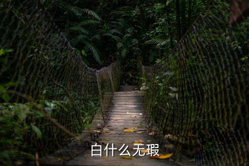 白無瑕，白什么無瑕