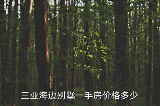 三亞農(nóng)村房子10萬出售，三亞海邊別墅一手房價格多少