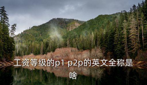 工資等級的p1 p2p的英文全稱是啥