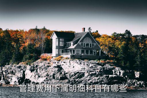 管理費(fèi)用明細(xì)科目大全，管理費(fèi)用的明細(xì)科目有哪些