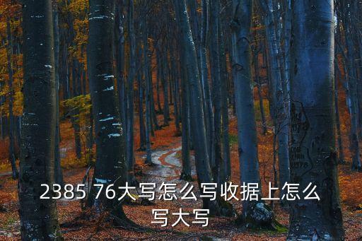 2385 76大寫怎么寫收據(jù)上怎么寫大寫