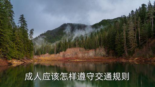成人應該怎樣遵守交通規(guī)則