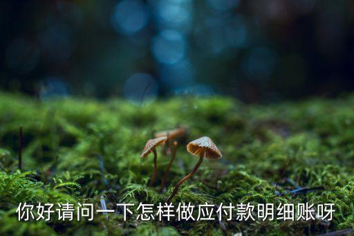 你好請問一下怎樣做應付款明細賬呀