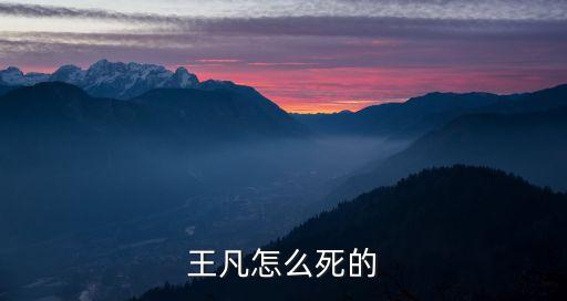 王凡，王凡怎么死的