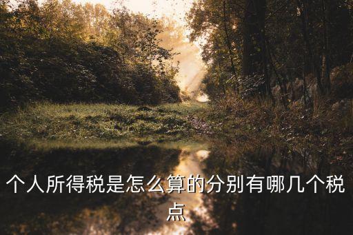 個人所得稅是怎么算的分別有哪幾個稅點