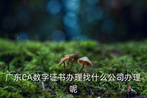 廣東ca，廣東考試網(wǎng)