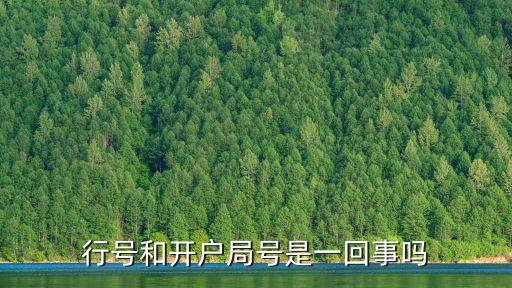 行號(hào)和開(kāi)戶局號(hào)是一回事嗎