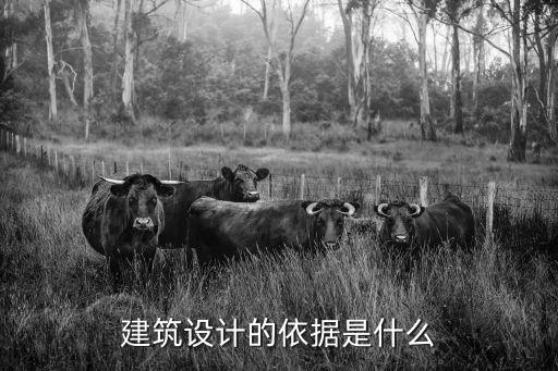 設(shè)計(jì)依據(jù)，室內(nèi)設(shè)計(jì)的依據(jù)是什么