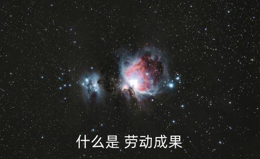 勞動成果，什么是 勞動成果