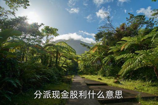 分派現(xiàn)金股利什么意思