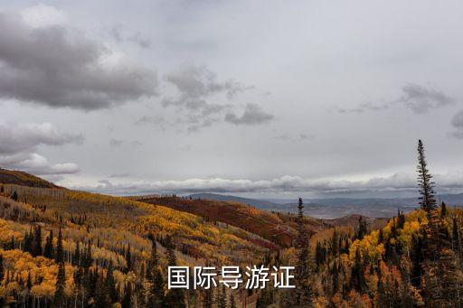 盛輝國際，朋友推薦我用盛豪國際你們覺得盛豪國際靠譜嗎