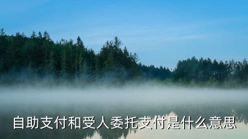 自助支付和受人委托支付是什么意思