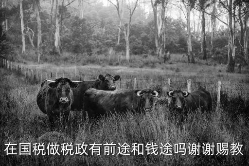 在國稅做稅政有前途和錢途嗎謝謝賜教