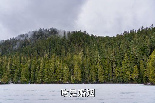 什么是婚姻，啥是婚姻