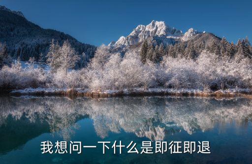 我想問一下什么是即征即退