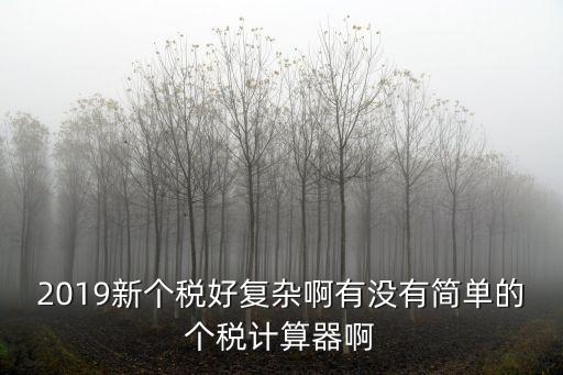 個(gè)稅計(jì)算器，新個(gè)稅計(jì)算器怎么樣
