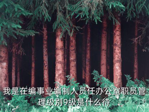 我是在編事業(yè)編制人員任辦公室職員管理級別9級是什么待