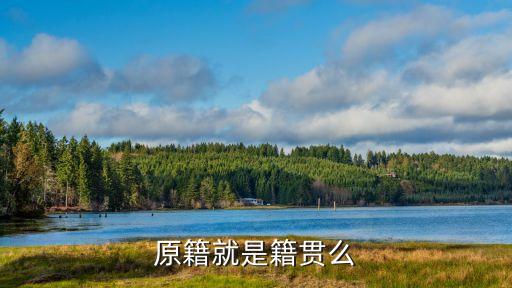 原籍是什么意思，原籍是什么意思
