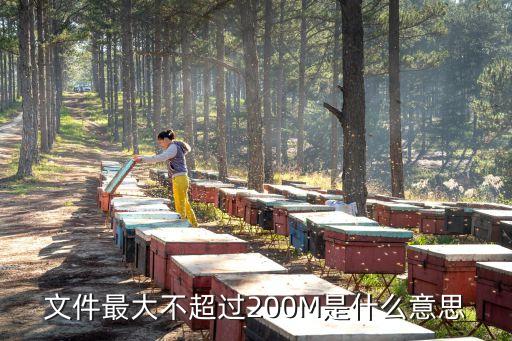 不超過(guò)，篇幅不超過(guò)300字個(gè)字?jǐn)?shù)不超過(guò)300字有什么區(qū)別