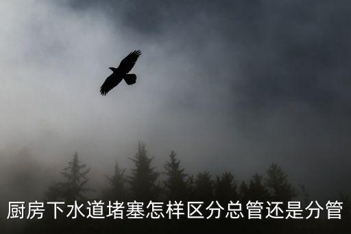 分管和主管的區(qū)別，廚房下水道堵塞怎樣區(qū)分總管還是分管