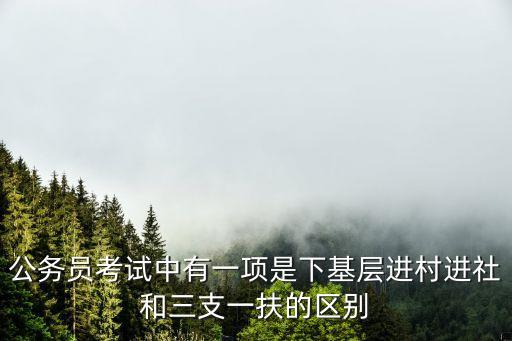 公務(wù)員考試中有一項(xiàng)是下基層進(jìn)村進(jìn)社和三支一扶的區(qū)別